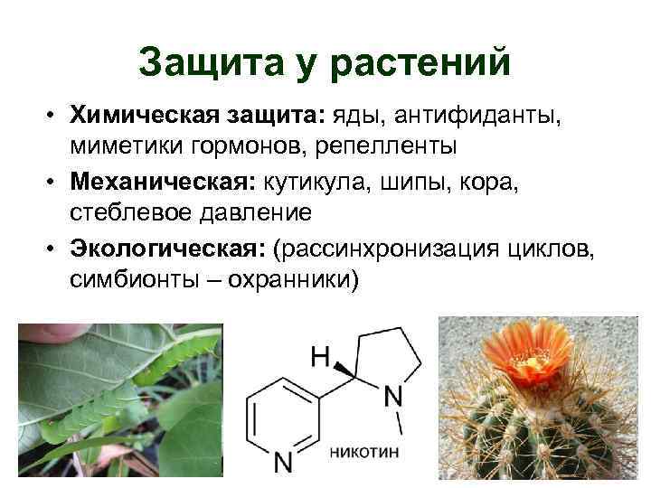 Биологическая роль адаптации ежа таблица