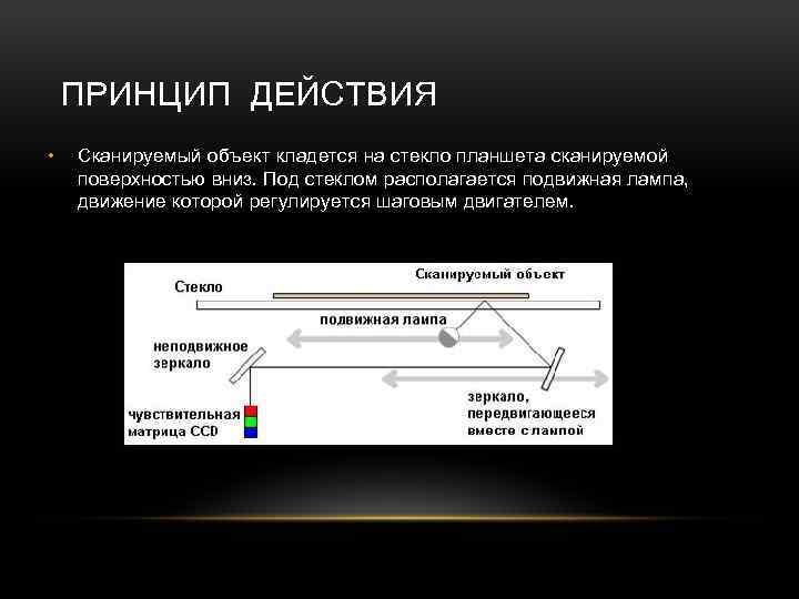 ПРИНЦИП ДЕЙСТВИЯ • Сканируемый объект кладется на стекло планшета сканируемой поверхностью вниз. Под стеклом