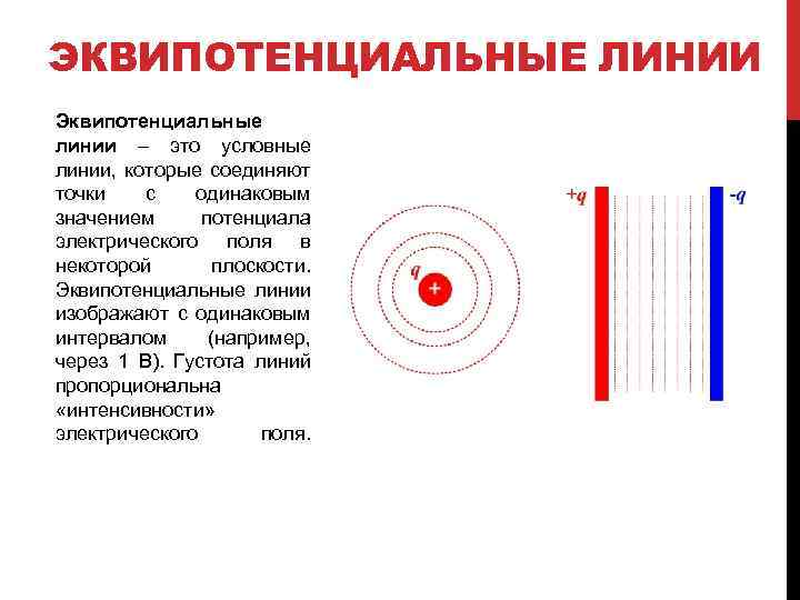 ЭКВИПОТЕНЦИАЛЬНЫЕ ЛИНИИ Эквипотенциальные линии – это условные линии, которые соединяют точки с одинаковым значением