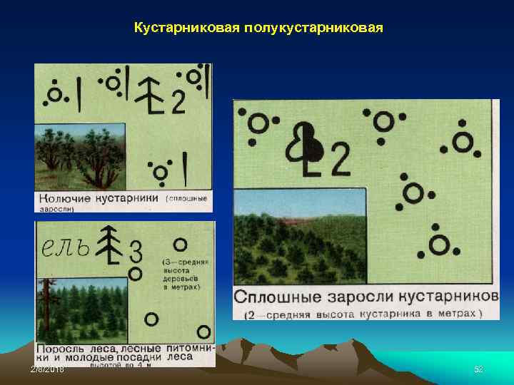 Кустарниковая полукустарниковая 2/8/2018 52 