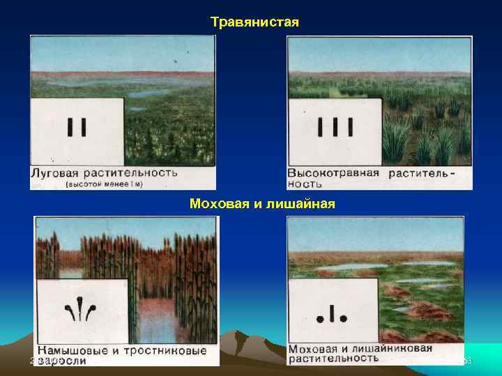 Травянистая Моховая и лишайная 2/8/2018 53 