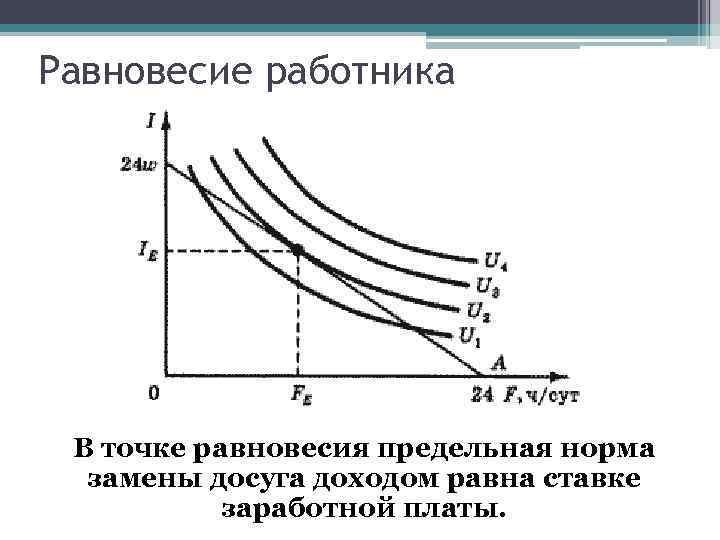 Равновесие работника В точке равновесия предельная норма замены досуга доходом равна ставке заработной платы.