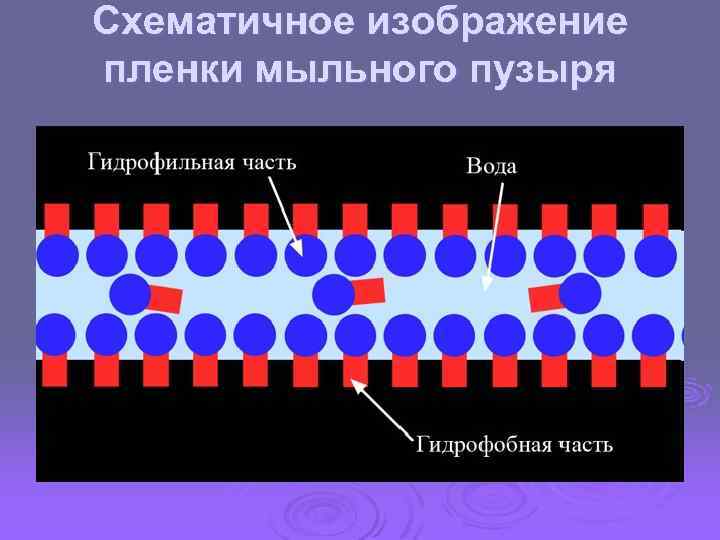 Схематичное изображение пленки мыльного пузыря 