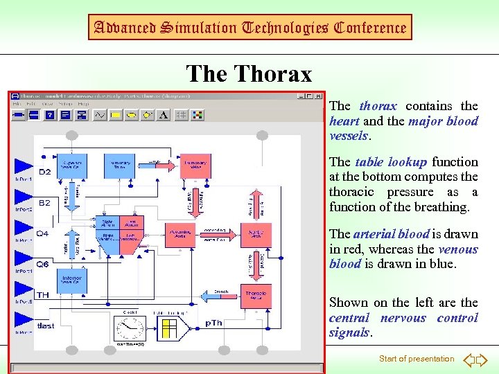 Advanced Simulation Technologies Conference Thorax The thorax contains the heart and the major blood