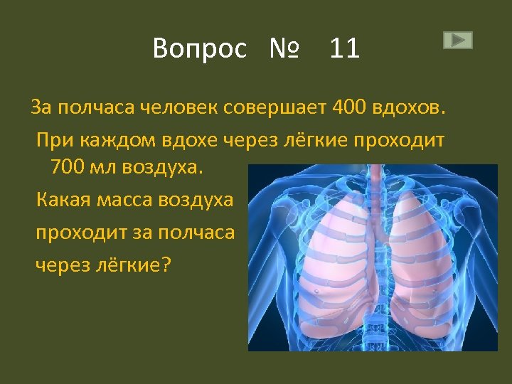 Вопрос № 11 За полчаса человек совершает 400 вдохов. При каждом вдохе через лёгкие