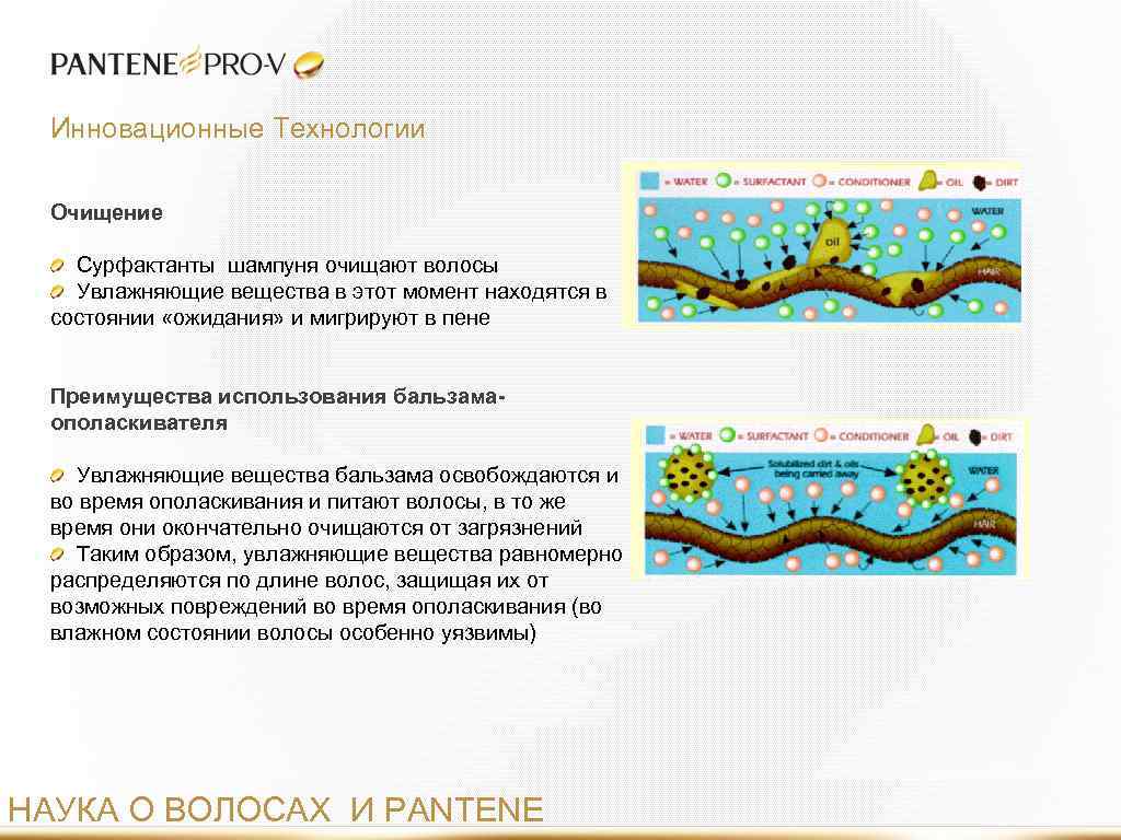 Инновационные Технологии Очищение Сурфактанты шампуня очищают волосы Увлажняющие вещества в этот момент находятся в