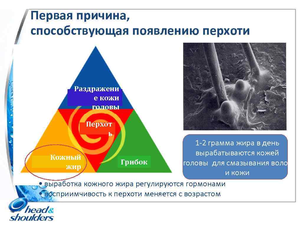 Первая причина, способствующая появлению перхоти Раздражени е кожи головы Перхот ь 1 -2 грамма