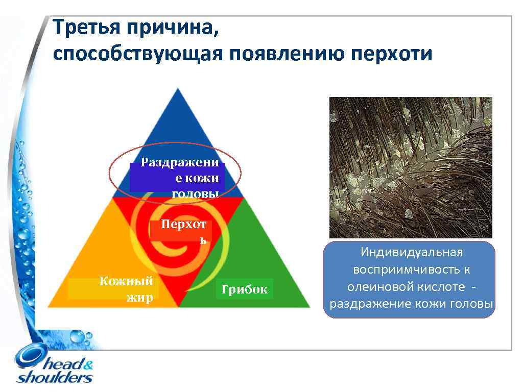 Третья причина, способствующая появлению перхоти Раздражени е кожи головы Перхот ь Кожный жир Грибок