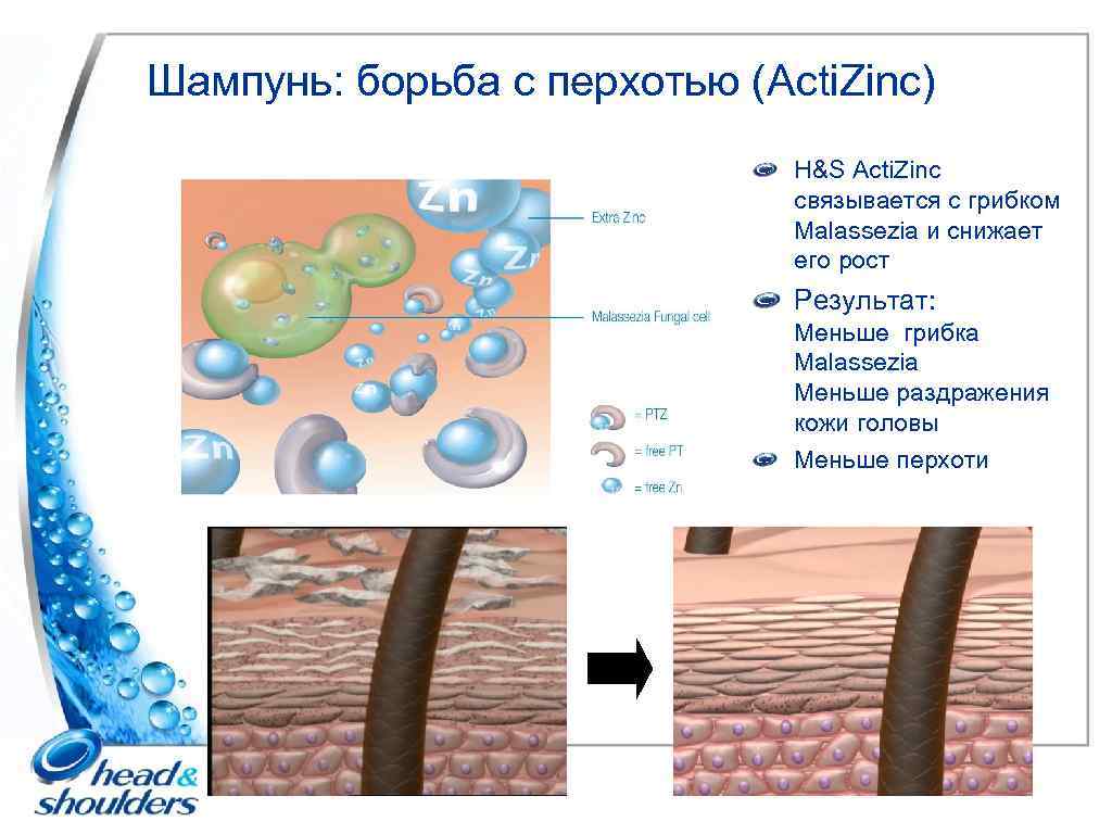 Шампунь: борьба с перхотью (Acti. Zinc) H&S Acti. Zinc связывается с грибком Malassezia и