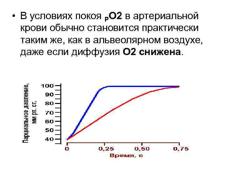  • В условиях покоя РО 2 в артериальной крови обычно становится практически таким