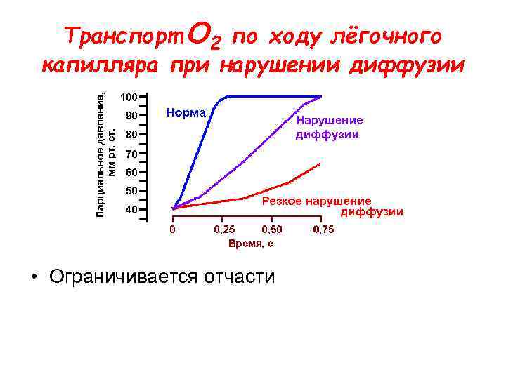 Транспорт O 2 по ходу лёгочного капилляра при нарушении диффузии • Ограничивается отчасти 