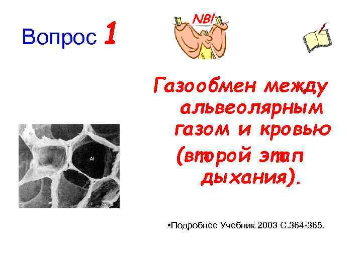 Вопрос 1 Газообмен между альвеолярным газом и кровью (второй этап дыхания). • Подробнее Учебник