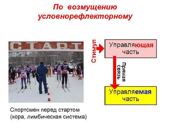 По возмущению условнорефлекторному Спортсмен перед стартом (кора, лимбическая система) 