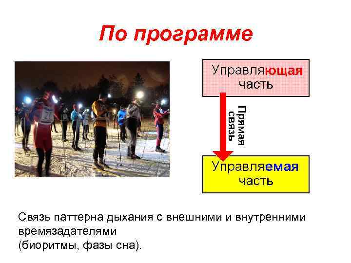 По программе Связь паттерна дыхания с внешними и внутренними времязадателями (биоритмы, фазы сна). 