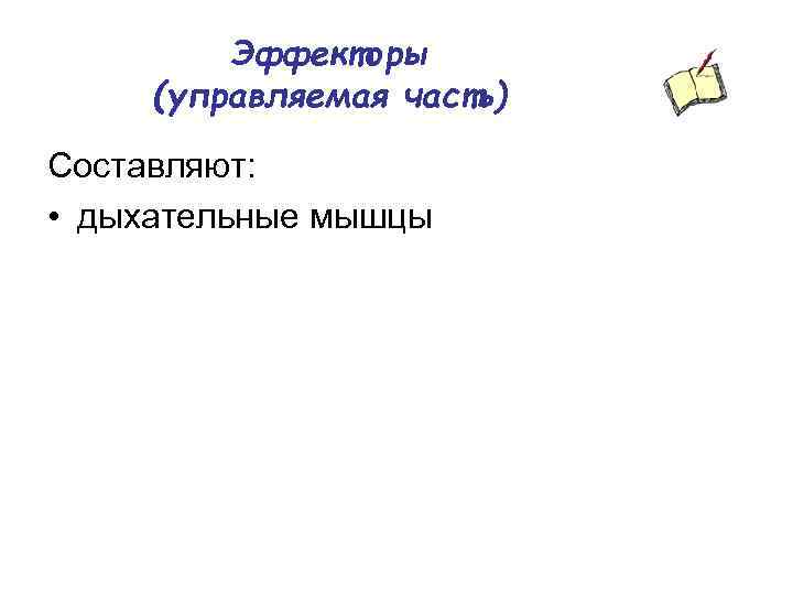 Эффекторы (управляемая часть) Составляют: • дыхательные мышцы 