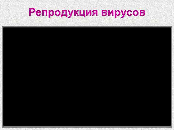 Репродукция вирусов 