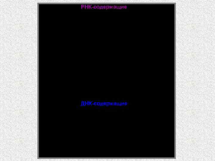 РНК-содержащие ДНК-содержащие 