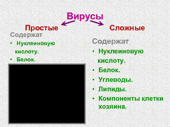 Вирусы Простые Содержат • Нуклеиновую кислоту. • Белок. Сложные Содержат • Нуклеиновую кислоту. •