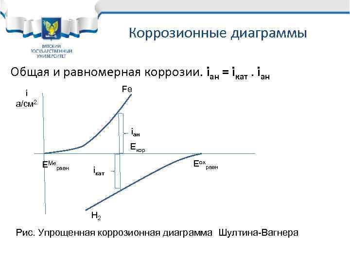 Коррозионные диаграммы Общая и равномерная коррозии. iан = iкат. iан Fe i a/см 2