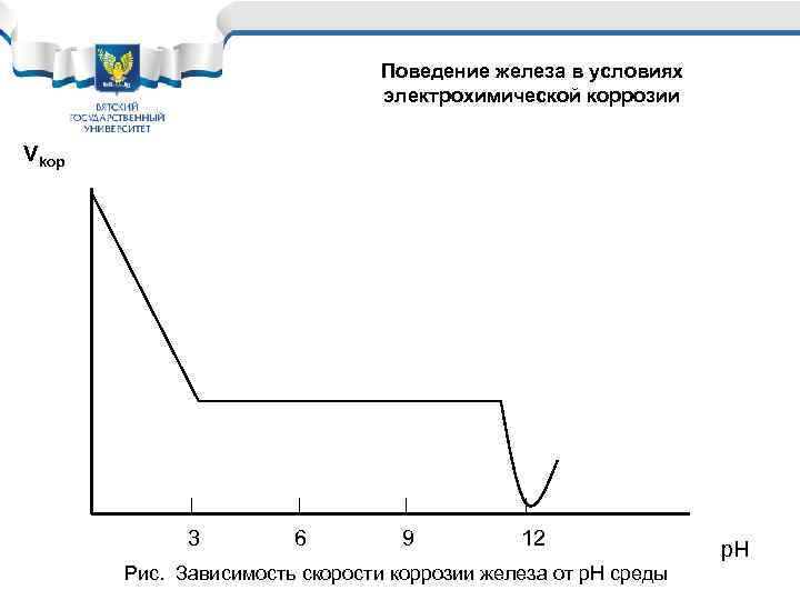 Поведение железа в условиях Поведение железа в коррозии электрохимической условиях электрохимической коррозии Vkop 3