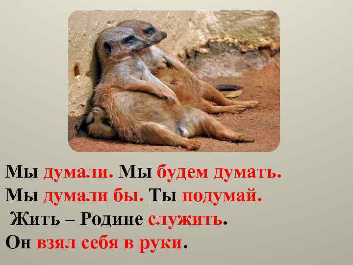 Мы думали. Мы будем думать. Мы думали бы. Ты подумай. Жить – Родине служить.