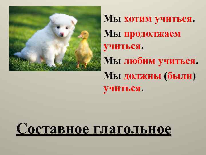 Мы хотим учиться. Мы продолжаем учиться. Мы любим учиться. Мы должны (были) учиться. Составное