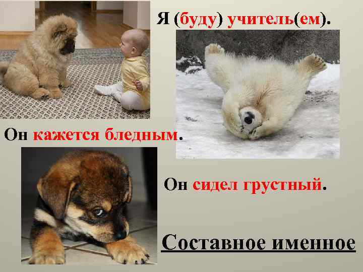 Я (буду) учитель(ем). Он кажется бледным. Он сидел грустный. Составное именное 