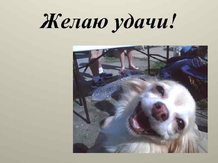 Желаю удачи! 