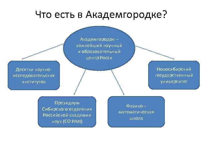 Что есть в Академгородке? Академгородок – важнейший научный и образовательный центр Росси Десятки научноисследовательских