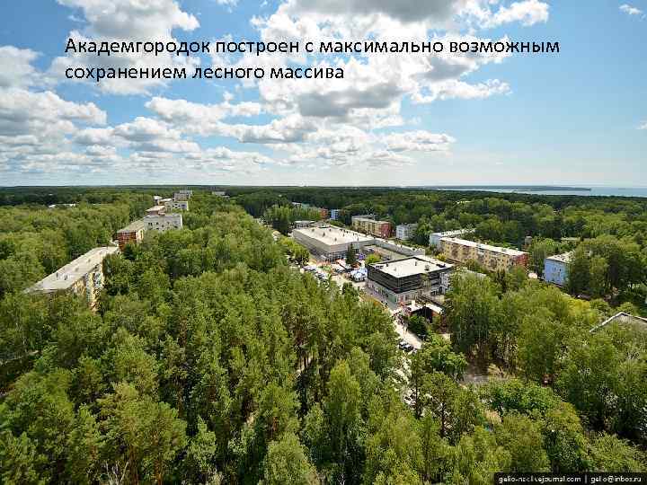 Академгородок построен с максимально возможным сохранением лесного массива • Академгородок построен с максимально возможным