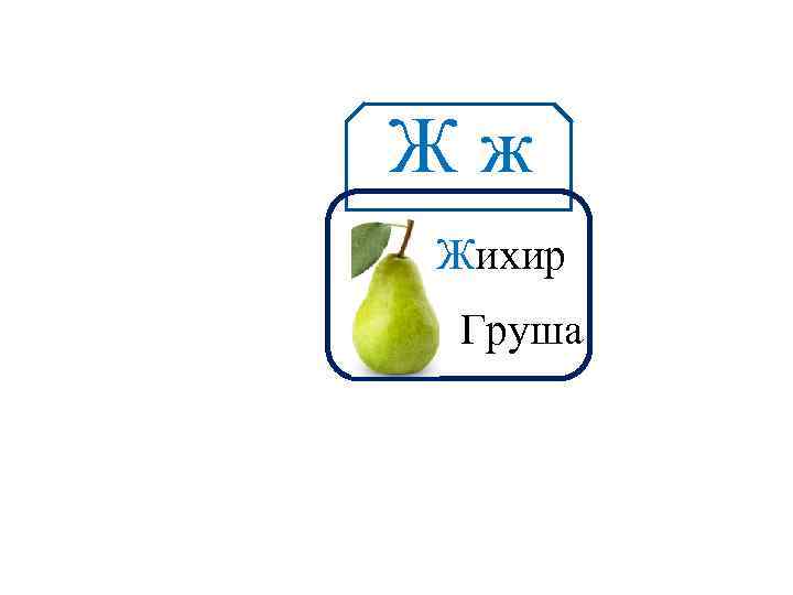 Жж Аа Жихир Груша 