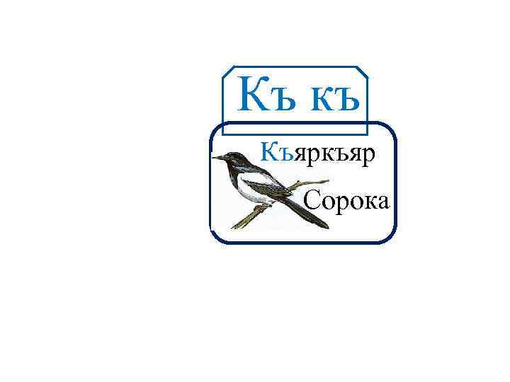 Къ къ Аа Къяркъяр Сорока 