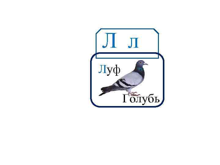 Л л Аа Луф Голубь 