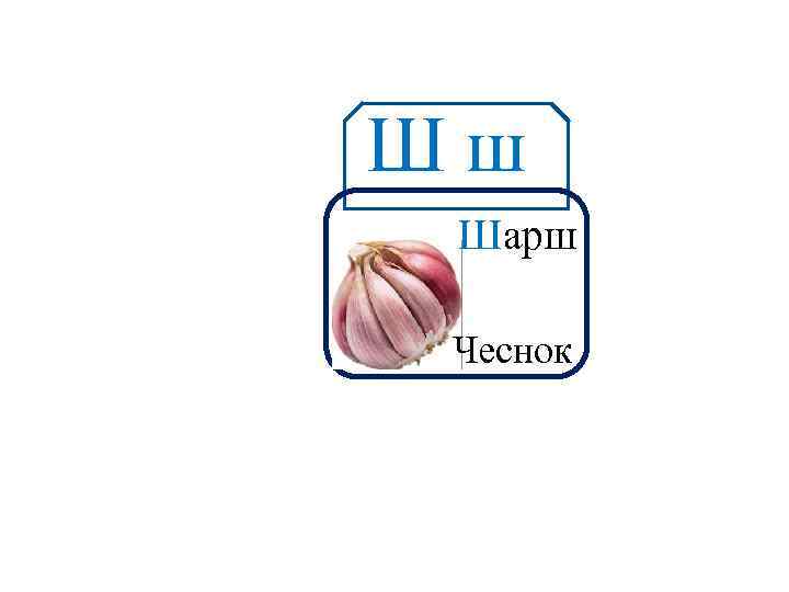 Шш Аа Шарш Чеснок 