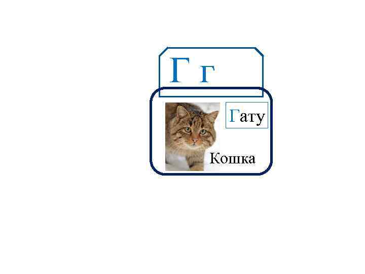 Гг Аа Гату Кошка 