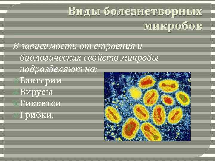 Типу в зависимости от структуры. Болезнетворные микробы подразделяются на. Болезнетворные бактерии виды. Типы болезнетворных бактерий. Виды микробов в зависимости от строения и биологических свойств.