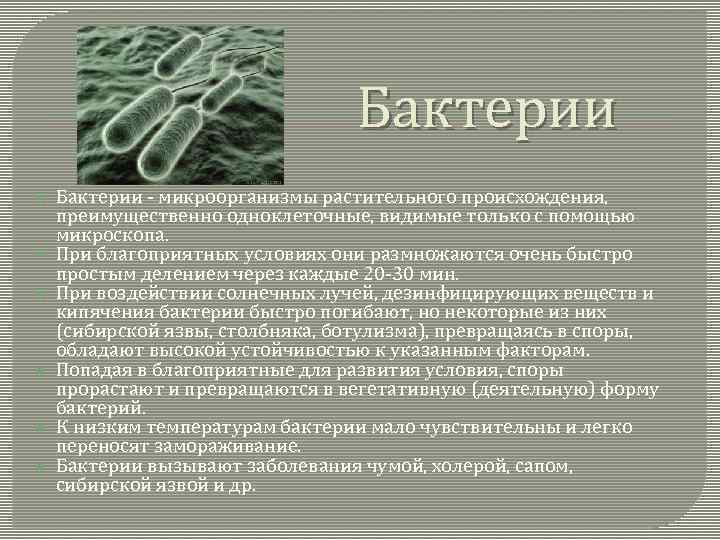 Бактерии Бактерии - микроорганизмы растительного происхождения, преимущественно одноклеточные, видимые только с помощью микроскопа. При