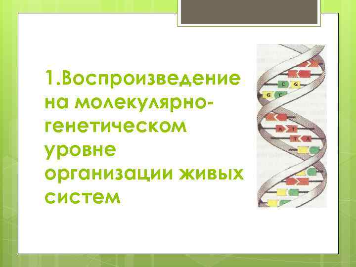 Молекулярный уровень организации живых систем. Молекулярно-генетический уровень организации жизни. Молекулярно-генетический критерий. Самовоспроизведение на молекулярном уровне.