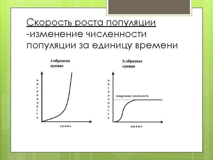 Типы роста численности