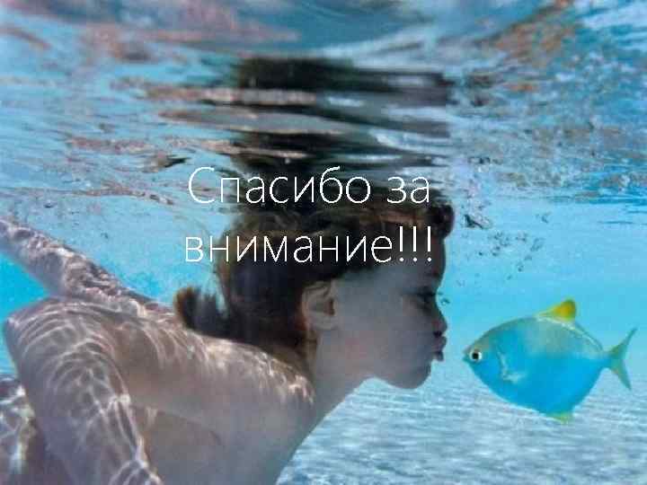 Спасибо за внимание!!! 