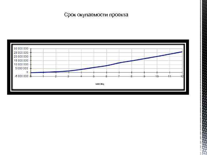 Срок окупаемости проекта 