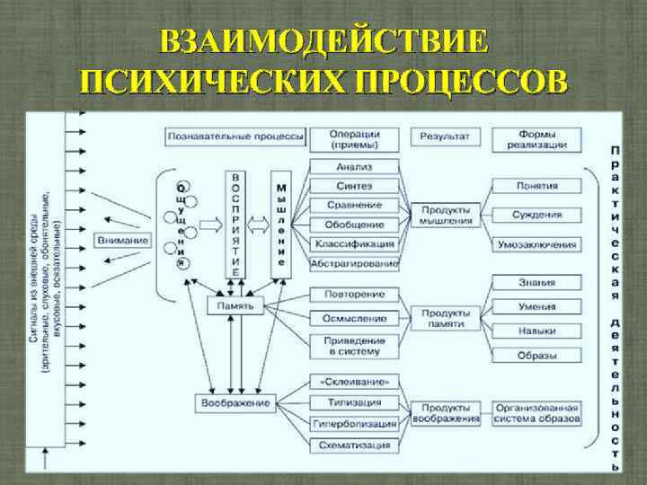 Схема психических процессов