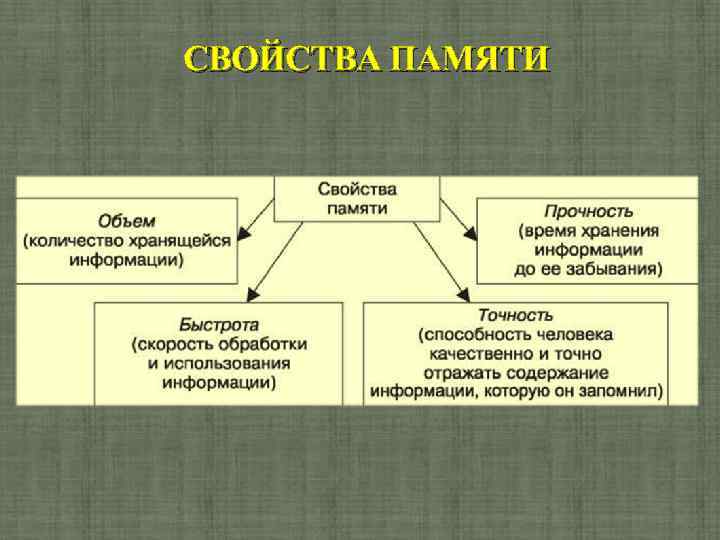 Свойства памяти. Свойства процесса памяти. Свойства памяти в психологии. Память виды и свойства. Свойства памяти в психологии кратко.