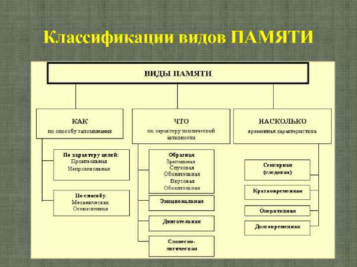 Классификации видов ПАМЯТИ 