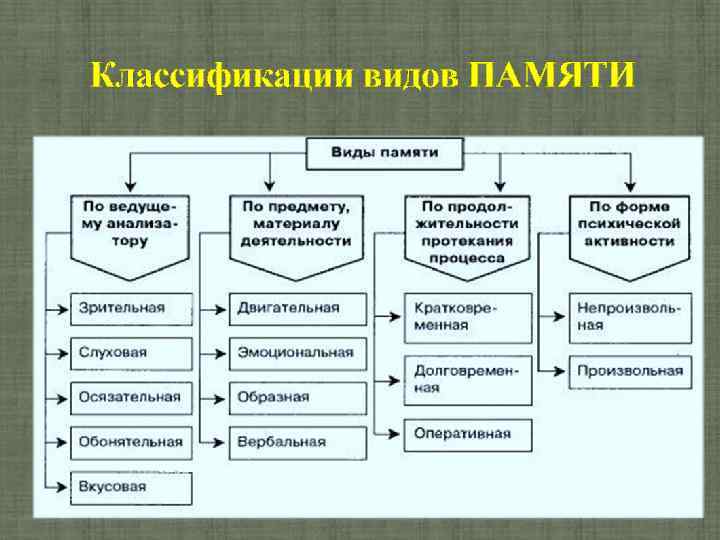 Классификации видов ПАМЯТИ 