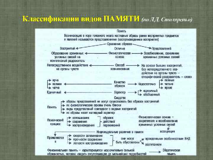 Классификации видов ПАМЯТИ (по Л. Д. Столяренко) 