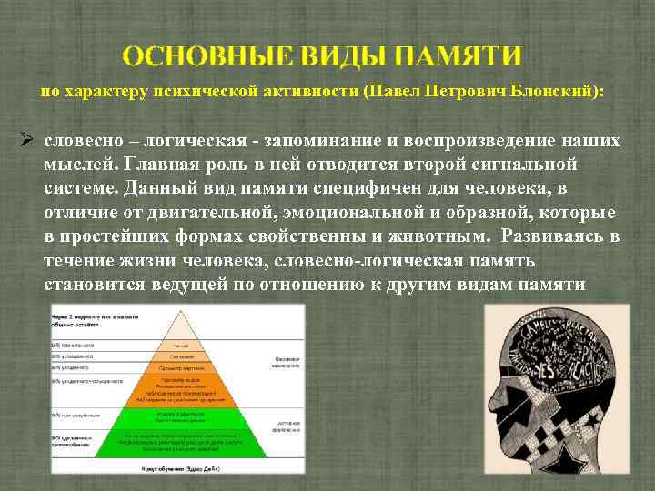 Физическая логическая память. Виды памяти по характеру психической активности. Словесно-логическая память. Словесно-логическая память это в психологии. Сквозные Познавательные процессы.