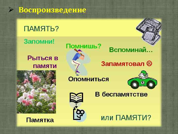  Воспроизведение 