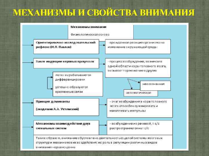 МЕХАНИЗМЫ И СВОЙСТВА ВНИМАНИЯ 