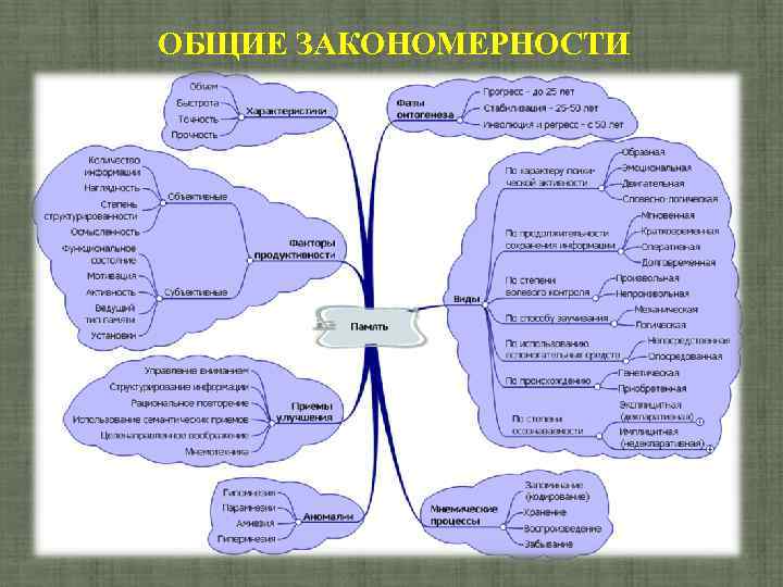 ОБЩИЕ ЗАКОНОМЕРНОСТИ 